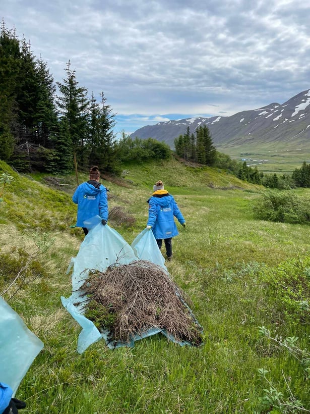 AIFS-Freiwilligenarbeit-Island-Personen-Naturschutz-Volunteers-engagieren