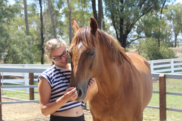 AIFS-Ranchwork-Australien-Person-Pferde-Ranch-auf-einer-ranch-arbeiten-spaß-freude