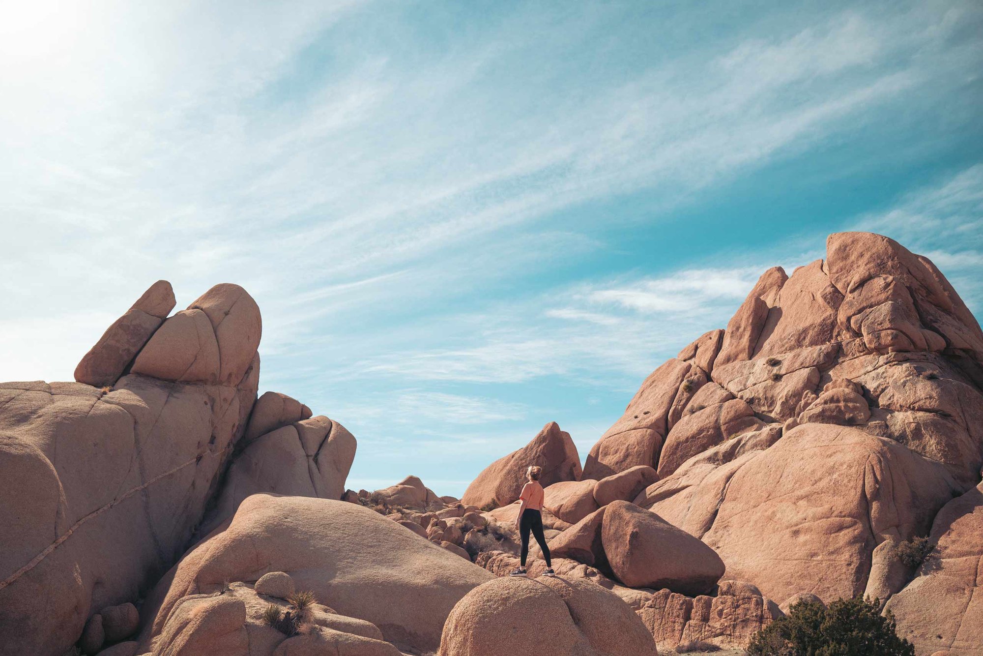 AIFS-USA-Kalifornien-California-Joshua-Tree-Orange-County-Sommer