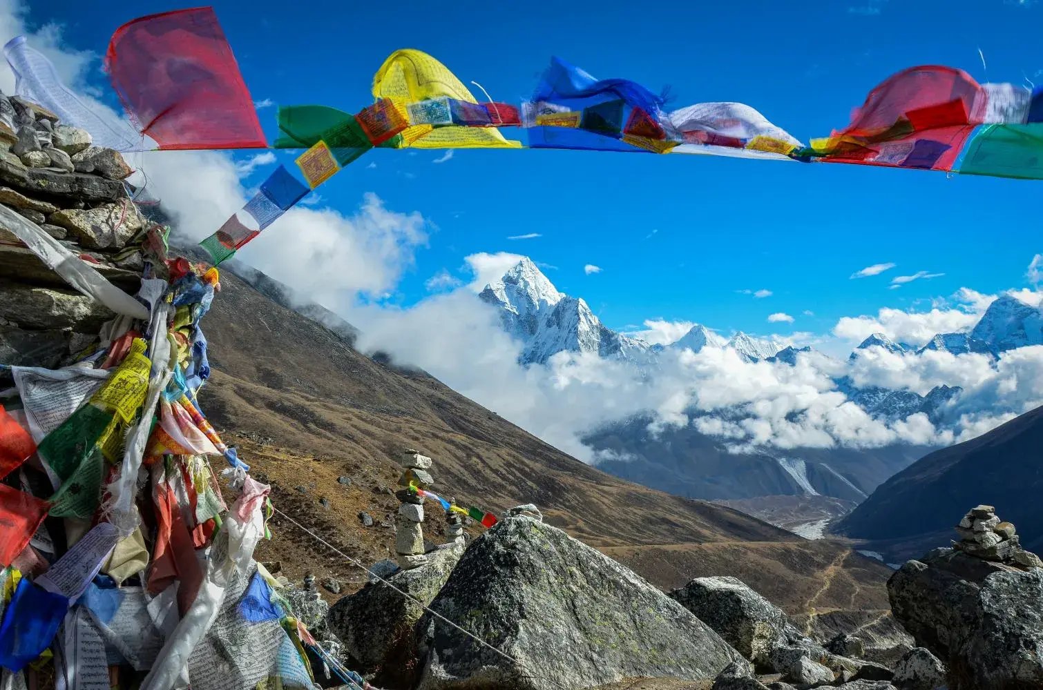 globerocker Reisen nach Asien