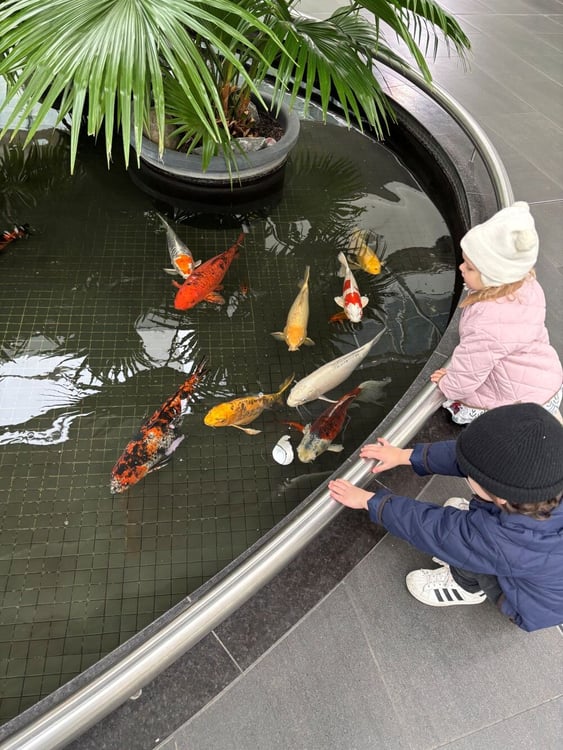 Zwei AIFS Au Pair Kinder in Kanada und Fische in einem Becken
