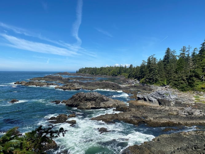 Aussicht aufs Meer beim Freiwilligenprojekt Wildlife in Kanada mit AIFS