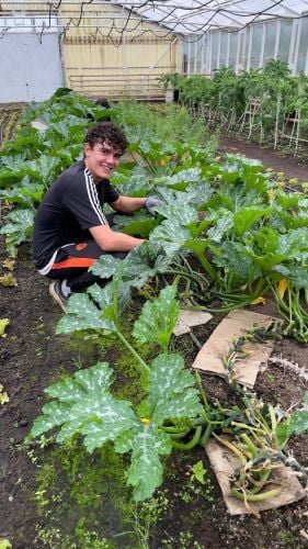 Volunteer bei der Arbeit beim Freiwilligenprojekt Eco-Village in Island mit AIFS