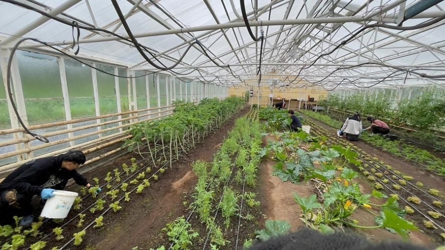 Volunteers bei der Arbeit beim Freiwilligenprojekt Eco-Village in Island mit AIFS