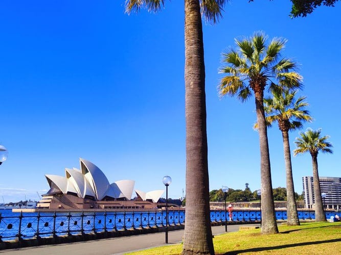 Ein Foto vom Ufer mit Blick auf das Opernhaus in Sydney Australien