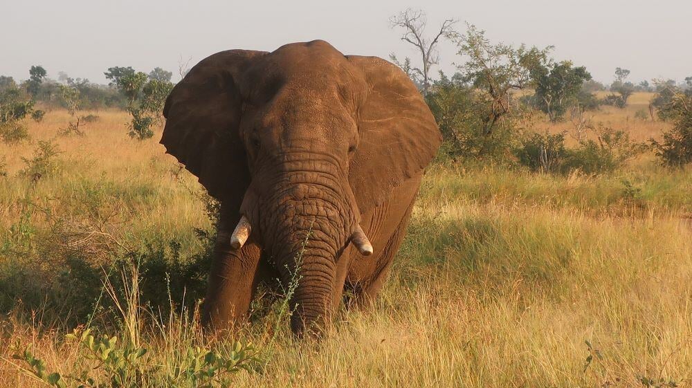Adventure Trips in Eswatini mit AIFS