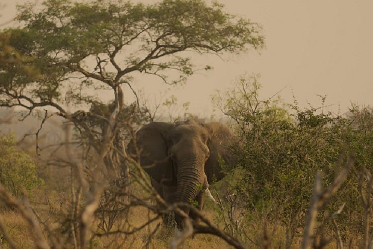 Adventure Trips in Eswatini mit AIFS