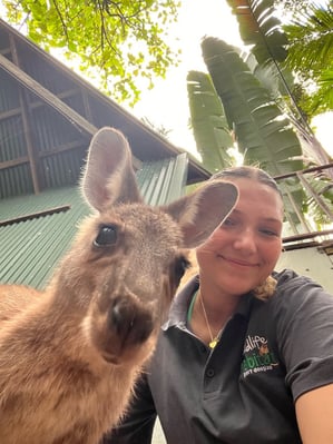 aifs-australien-freiwilligenarbeit-jackie-känguru-wildlife-habitat