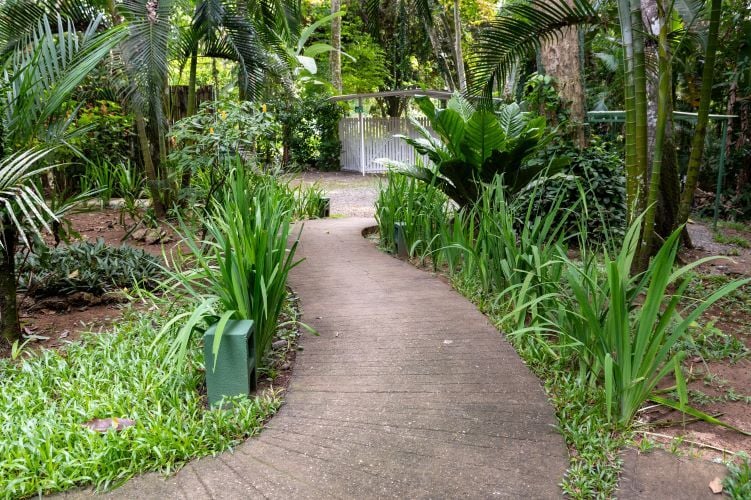 Außenanlage beim Freiwilligenprojekt Wildlife Rescue in Costa Rica mit AIFS