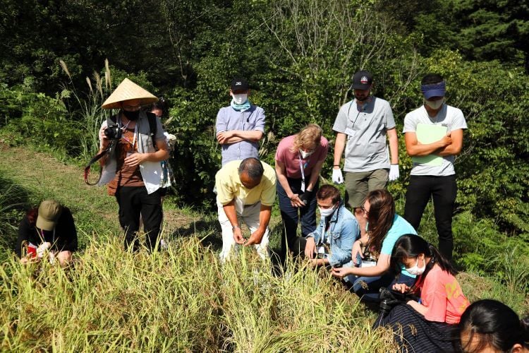 Personen im Feld beim Freiwilligenprojekt Community Work und Umweltschutz in Japan mit AIFS