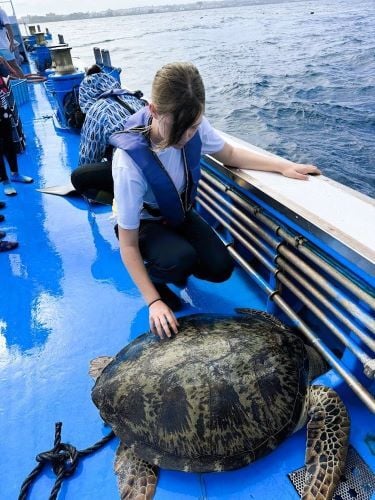 Personen mit einer Meeresschildkröte auf einem Boot beim Freiwilligenprojekt Sea Turtle Conservation in Japan mit AIFS