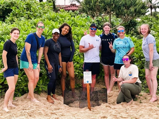 Personen bei einem Schildkrötennest beim Freiwilligenprojekt Sea Turtle Conservation in Japan mit AIFS