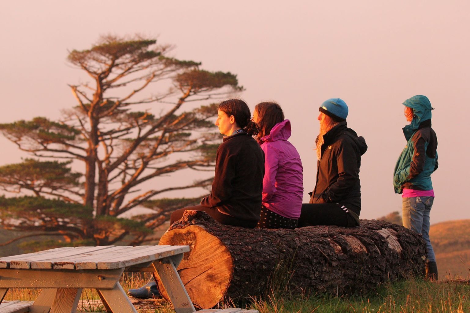 Freiwilligenprojekt Rainforest Conservation in Neuseeland mit AIFS
