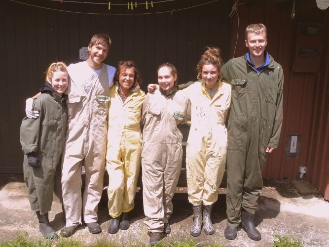 Volunteers beim Freiwilligenprojekt Rainforest Conservation in Neuseeland