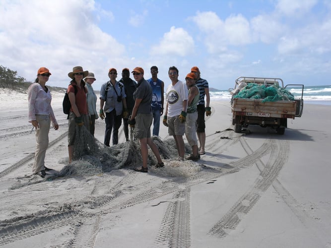 Volunteers am Strand beim Freiwilligenprojekt Umwelt- und Naturschutz in Neuseeland mit AIFS