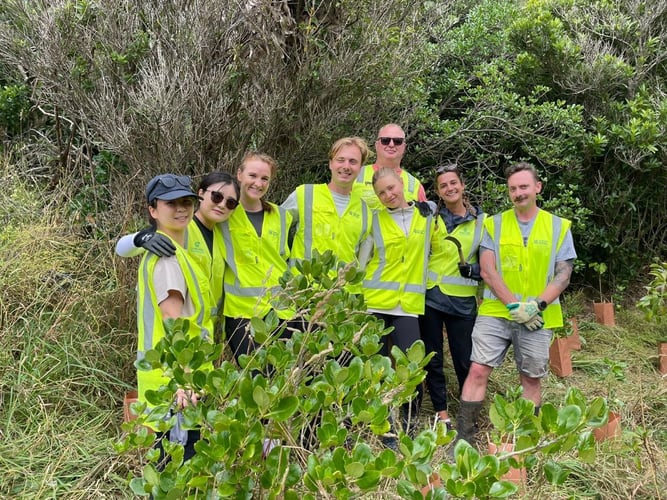 Gruppe von Volunteers beim Freiwilligenprojekt Umwelt- und Naturschutz in Neuseeland mit AIFS