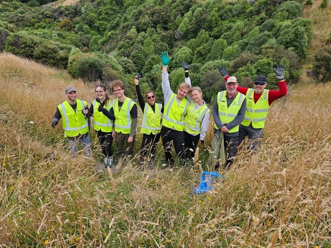 Volunteers beim Freiwilligenprojekt Umwelt- und Naturschutz in Neuseeland mit AIFS
