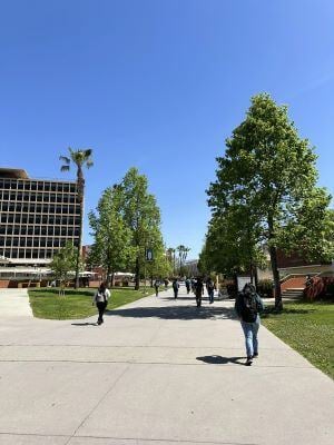 AIFS_SA_USA_Campus_Cal State LA