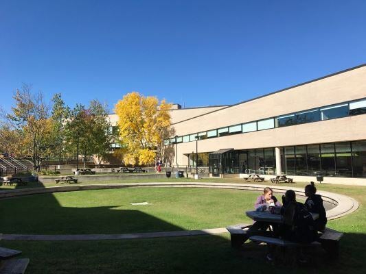 AIFS_SA_USA_Campus_SUNY (3)