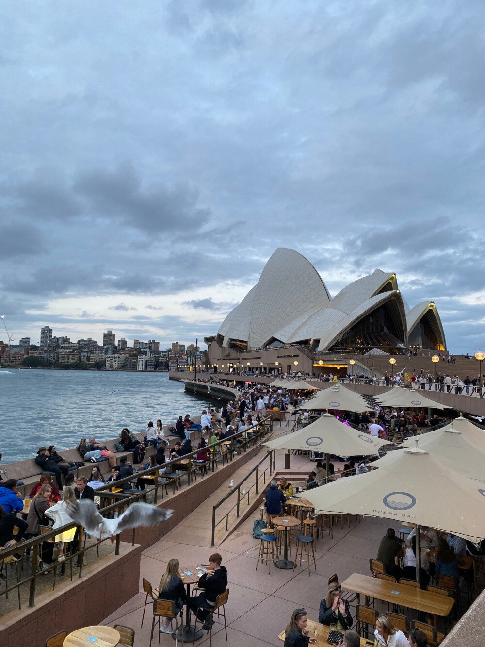 Lennarts Erfahrungen bei Work and Travel in Australien mit AIFS