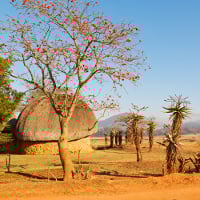 aifs-swasiland-eswatini