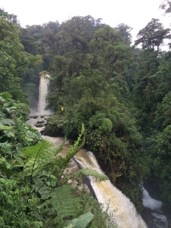 Study Abroad Costa Rica