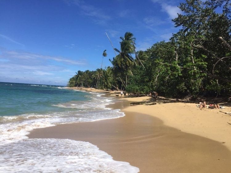 Study Abroad Costa Rica