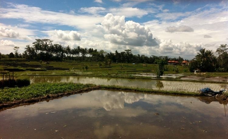 Bali