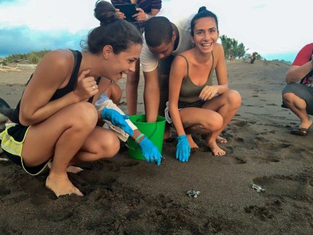 aifs-studieren-im-ausland-costa-rica-personen-strand-schildkroete