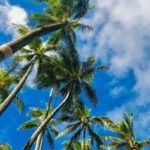 hawaii-150x150