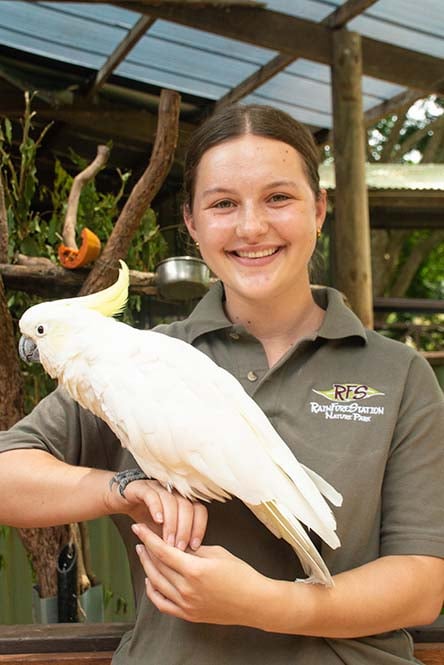 aifs-freiwilligenarbeit-australien-rainforest-station-person-vogel--program-carousel-668x1000