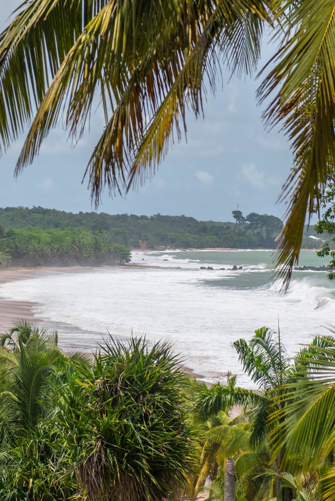 aifs-ghana-axim-meer-strand-palmen