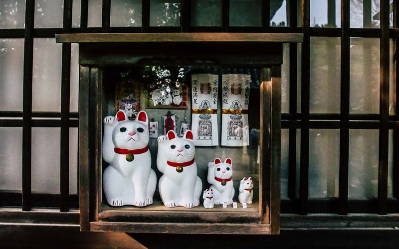 Entspannte Atmosphäre in Japan: Weiße Katzen vor traditionellem Hintergrund. Tauche ein in die Ruhe und Kultur mit AIFS in Japan.