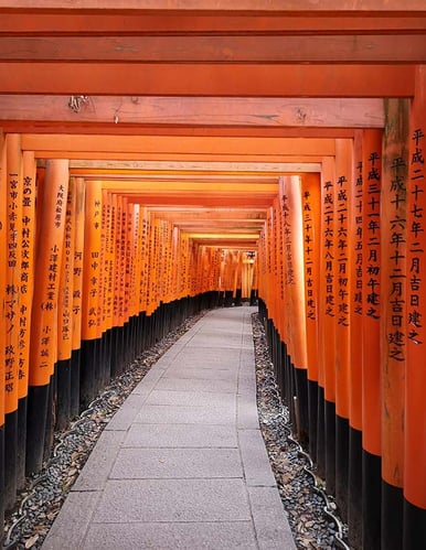 Entdecke Japan mit AIFS: Traditionen, Tempel und moderne Metropolen. Erlebe unvergessliche Abenteuer auf deiner Reise.