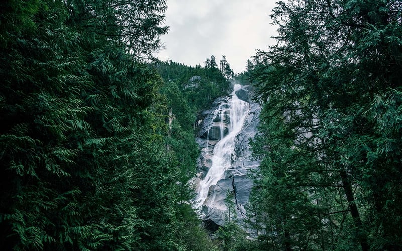  Entdecke mit AIFS Kanada Adventure Trips die majestätische Schönheit eines imposanten Wasserfalls. Natur pur erleben in der atemberaubenden Landschaft.