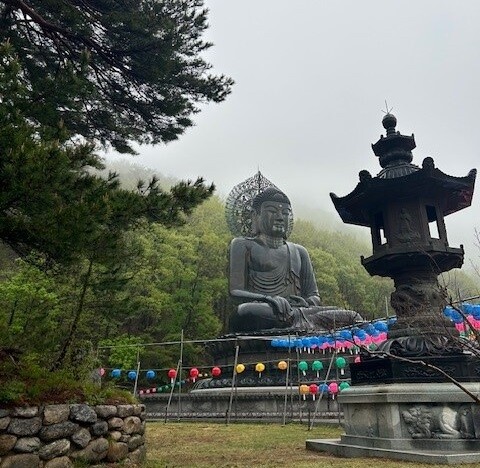 Lisas Erfahrungen beim Adventure Trip in Südkorea mit AIFS