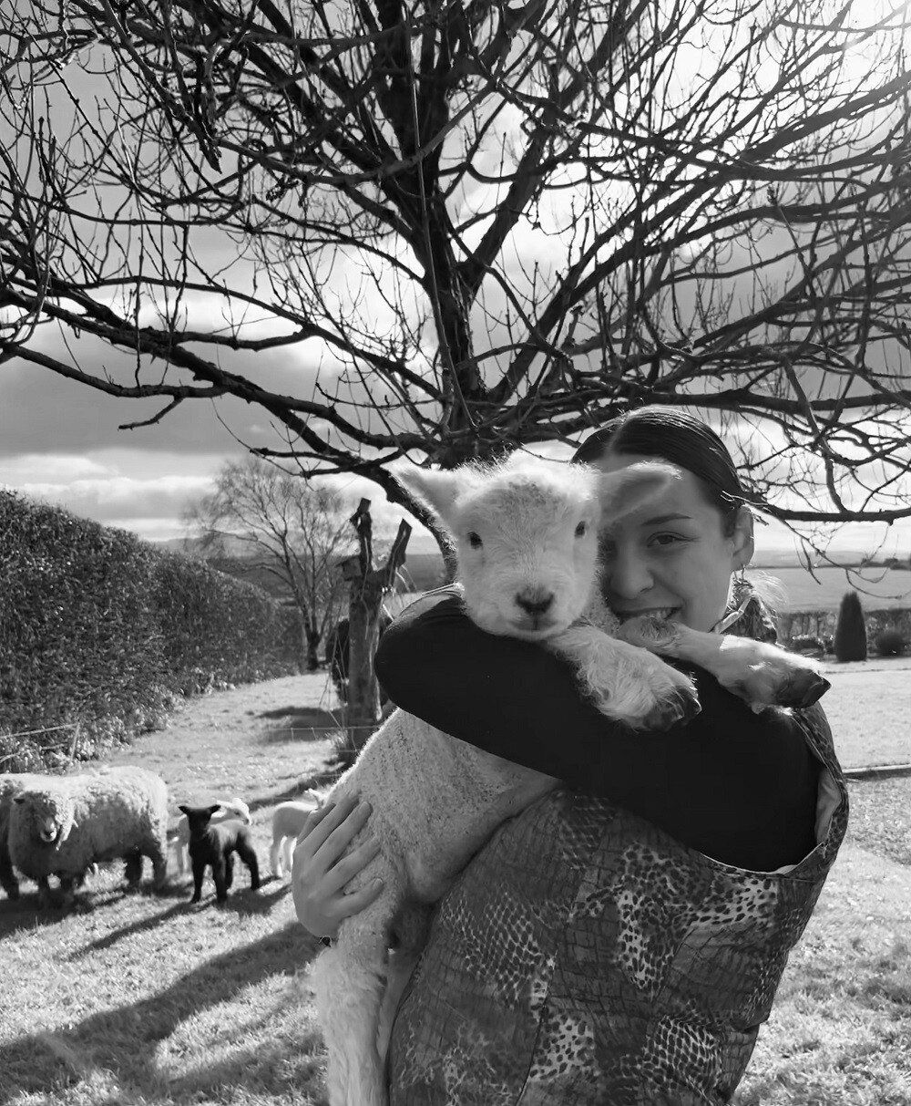 Erfahrungen Farmwork in Irland mit AIFS