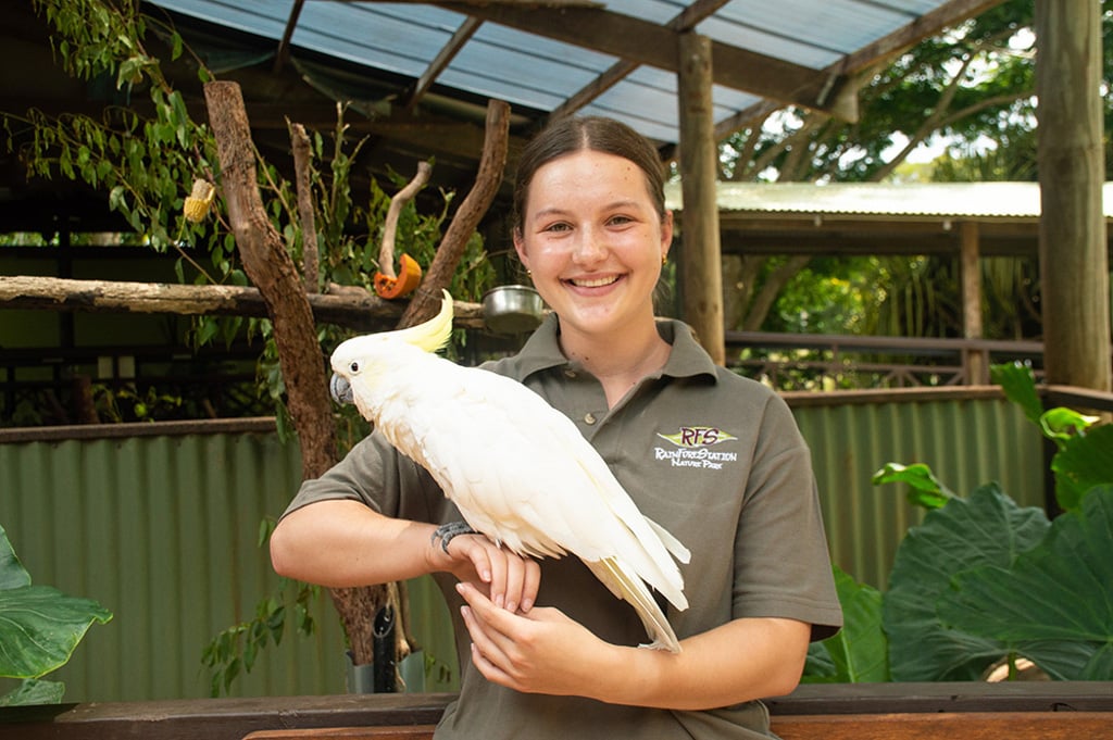 aifs-freiwilligenarbeit-australien-rainforest-station-person-vogel-quadratisch-1024x1024