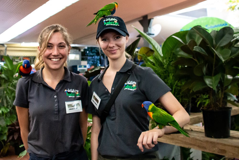 aifs-freiwilligenarbeit-australien-wildlife-habitat-Personen-Lorikeets