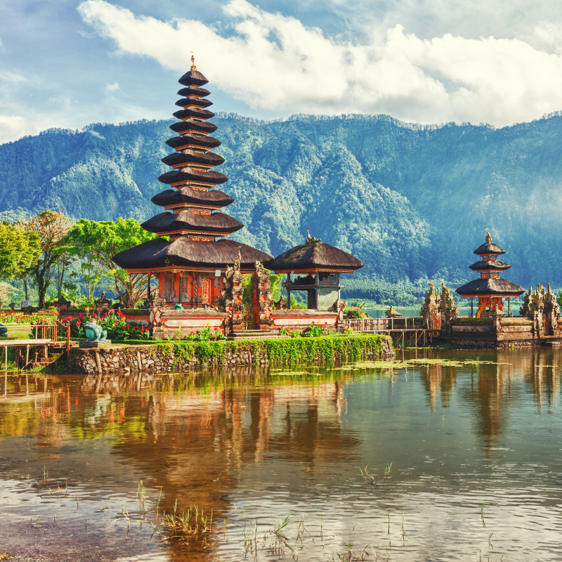 AIFS Freiwilligenarbeit auf Bali