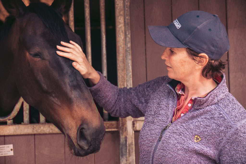 Ranchwork in Irland mit AIFS