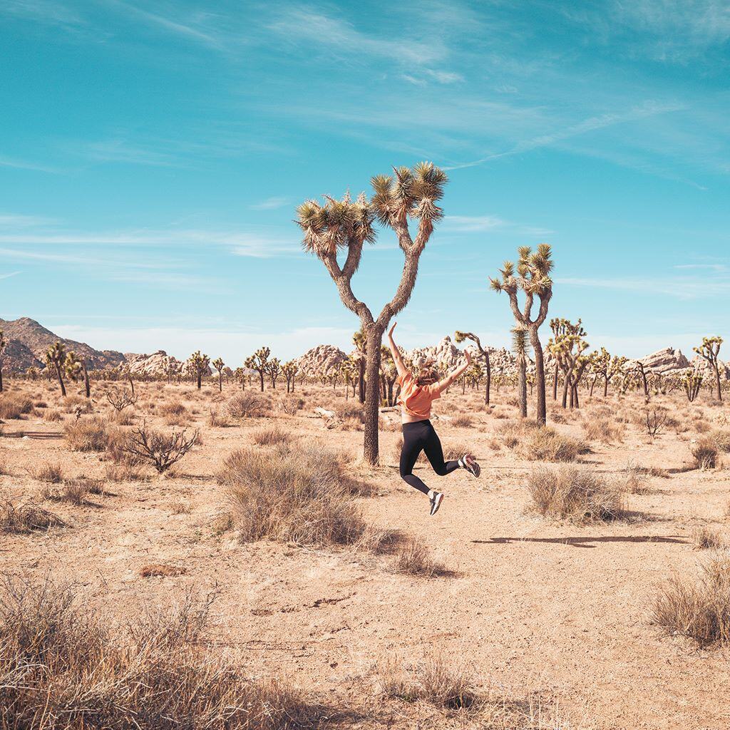 Alle Erfahrungen zu den AIFS Adventure Trips in den USA
