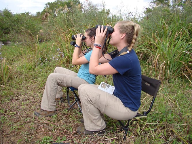 Als Volunteer die Natur in Eswatini entdecken  mit AIFS