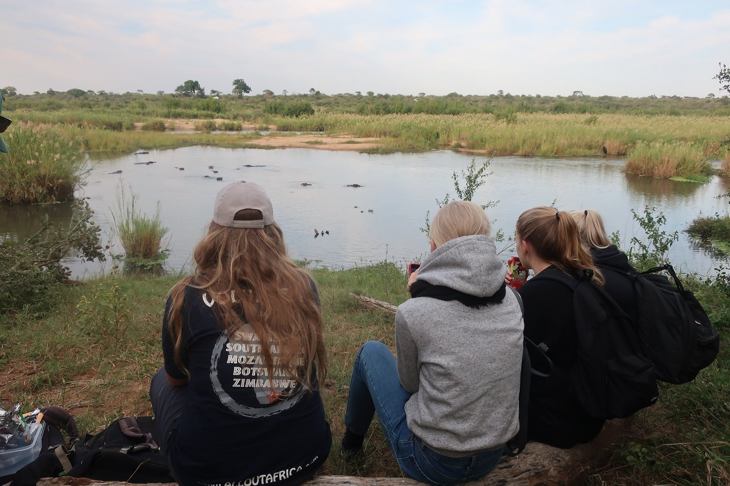 Nilpferde entdecken bei der Safari im Kruger Nationalpark mit AIFS