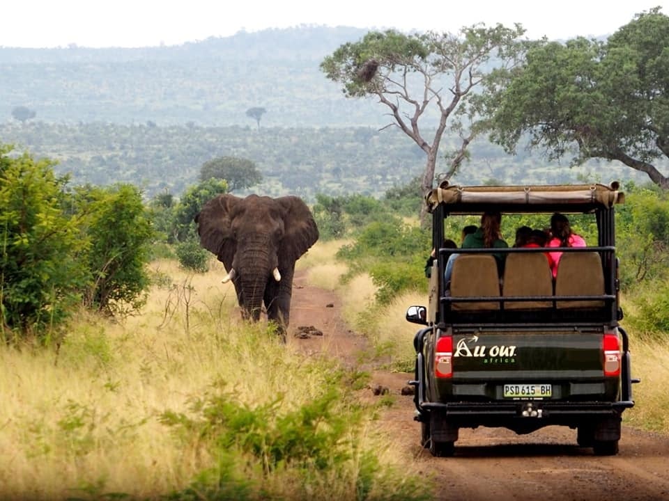 adventure-trip-südafrika-wagen-safari-kruger-nationalpark-elefant-wagen