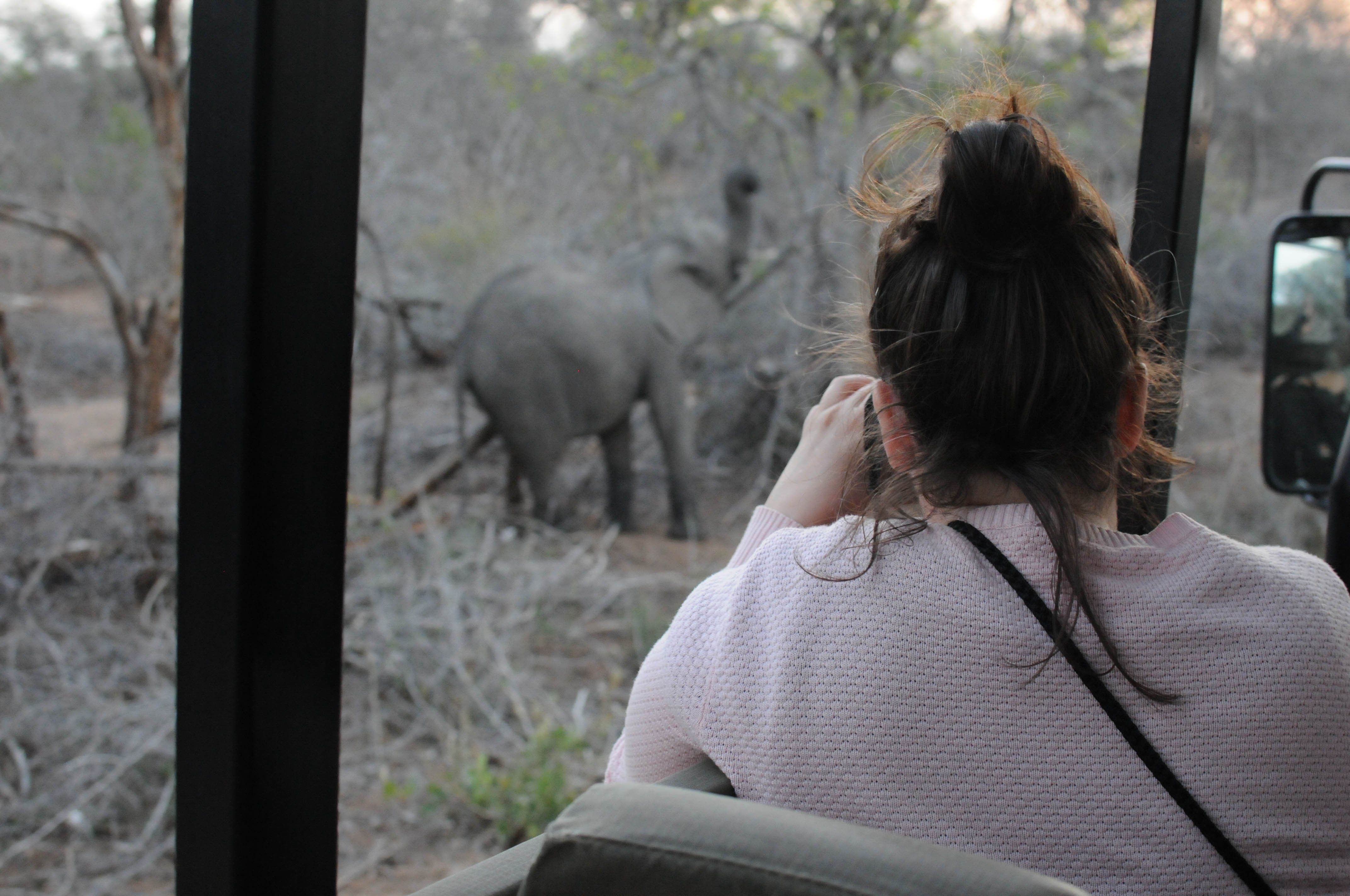 Safari im Kruger Nationalpark mit AIFS