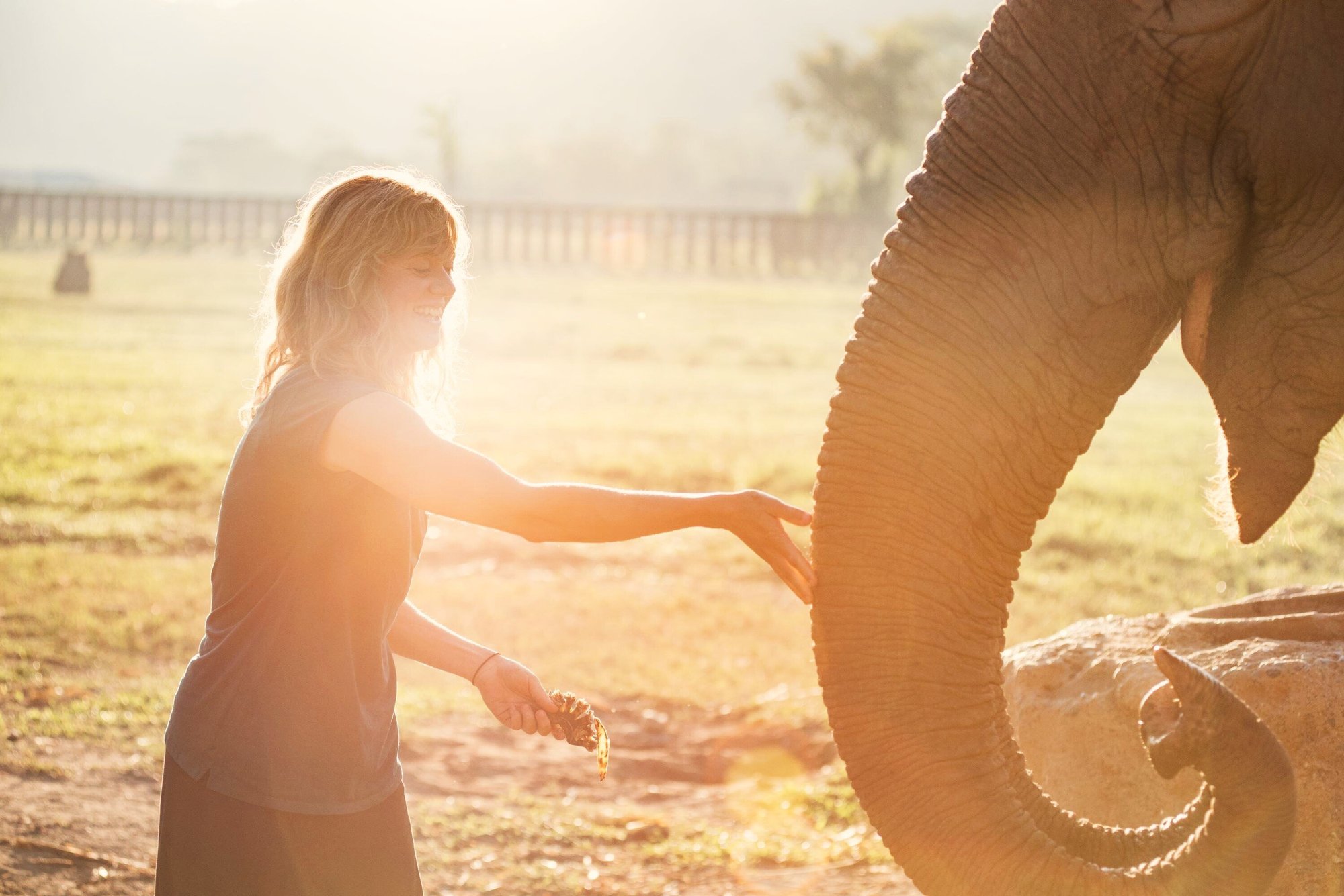 aifs-adventure-trip-thailand-chiang-mai-elefant-16-9