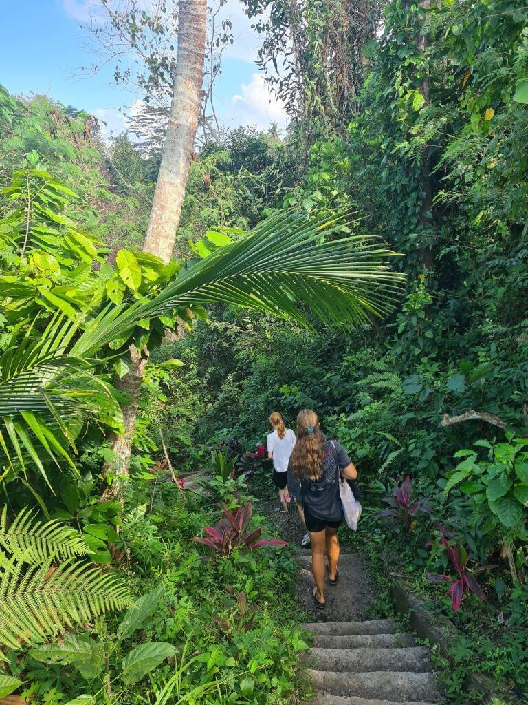 Personen auf einer Treppe zwischen Palmen beim Adventure Trip in Bali mit AIFS
