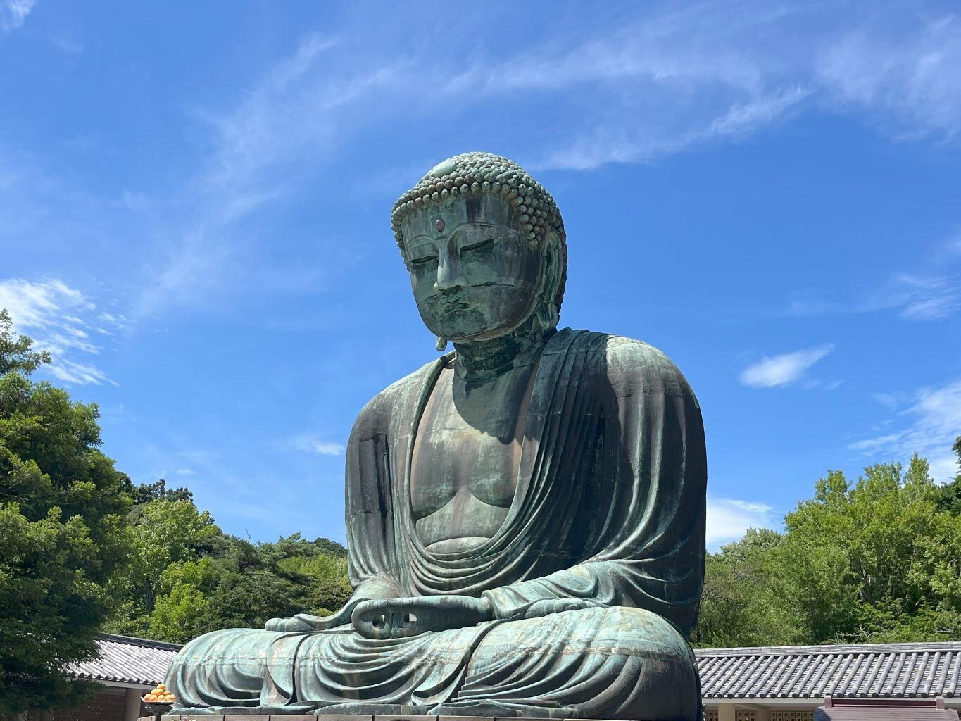 Clemens Erfahrungen beim Adventure Trip in Japan mit AIFS