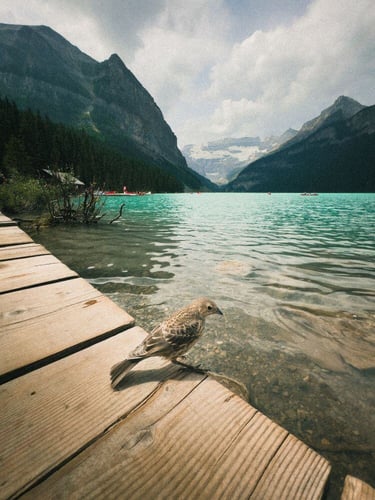 aifs-adventure-trips-kanada-fotos-nico-vogel-see